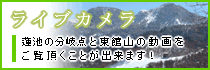 ライブカメラで蓮池の分岐点と東館山の動画をご覧頂くことが出来ます