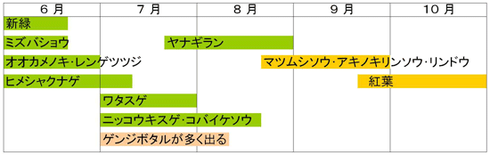 志賀高原・花暦