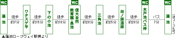 自然探勝コース案内