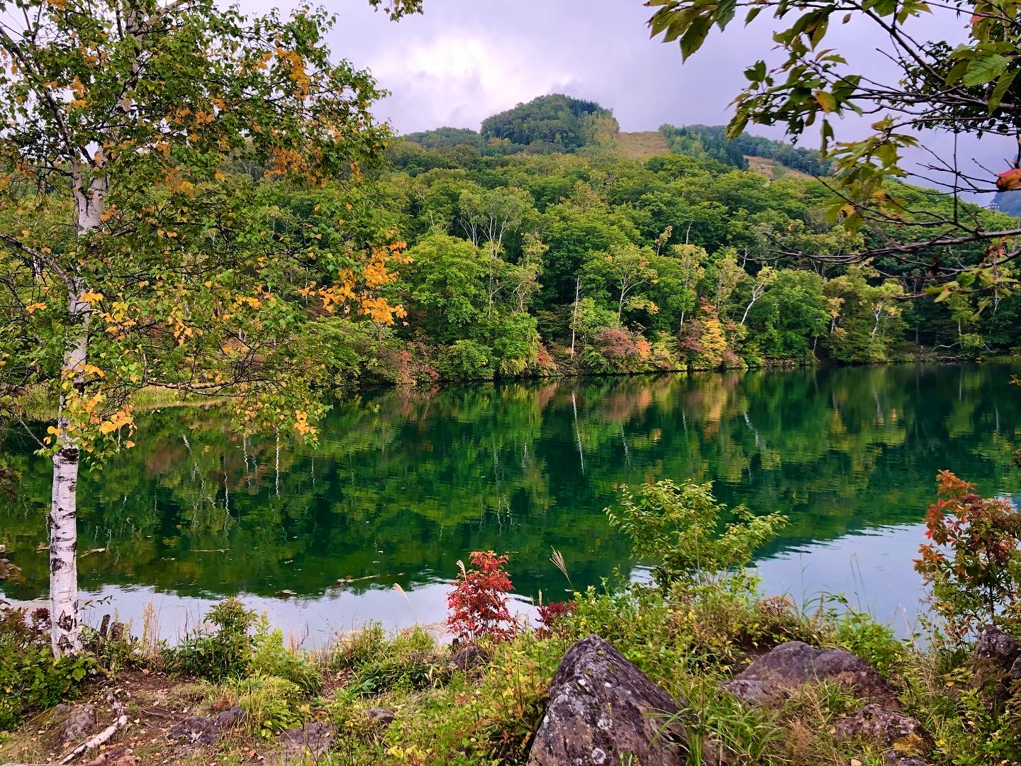 志賀高原の紅葉 2020/09/30 -Autumn leaves-Post navigation