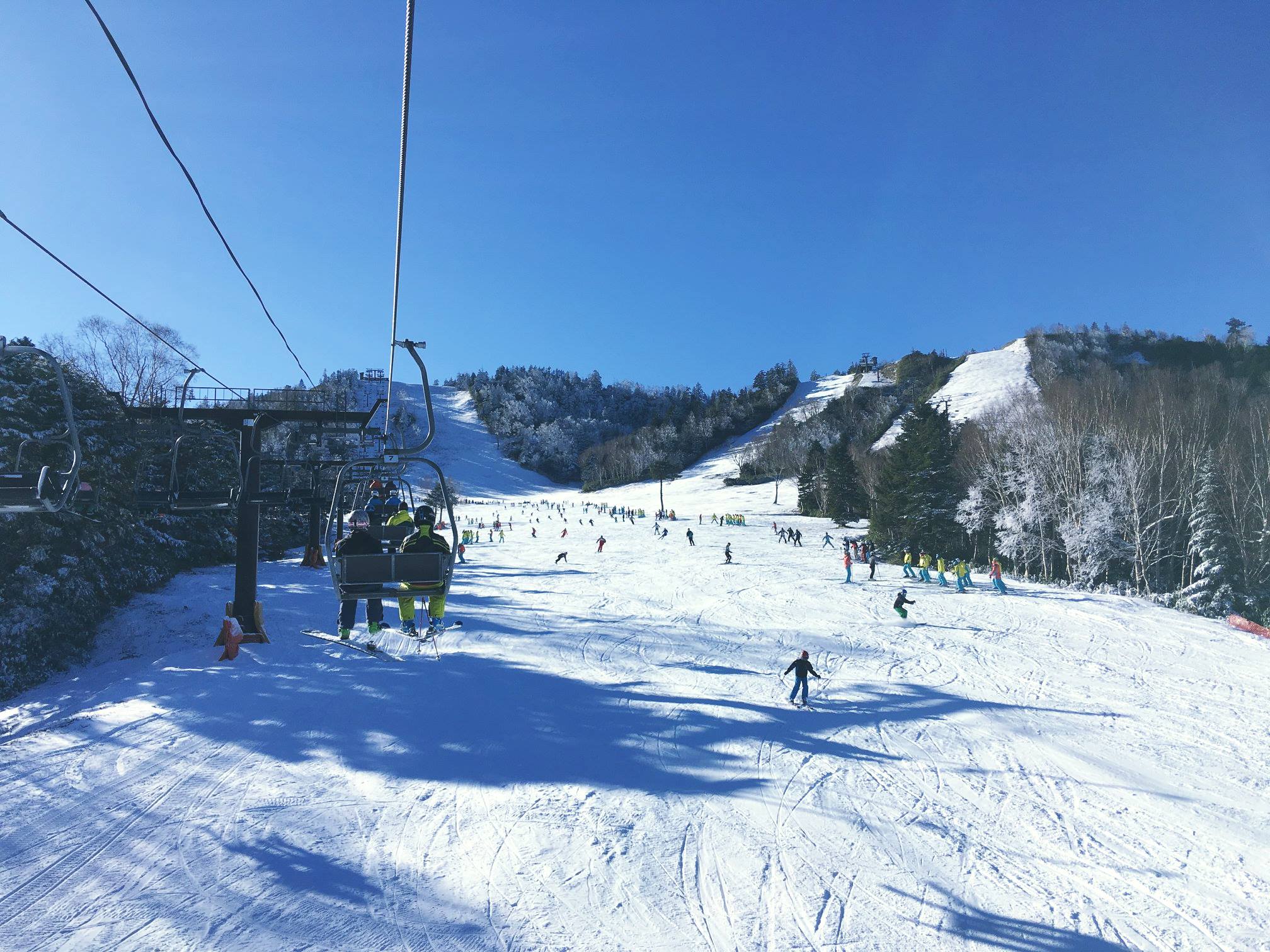 志賀 高原 スキー 場 熊 の 湯