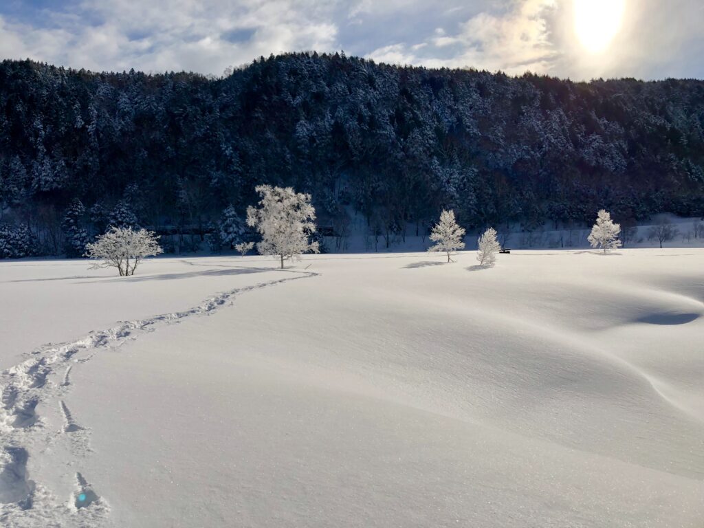 Snowshoe hiking