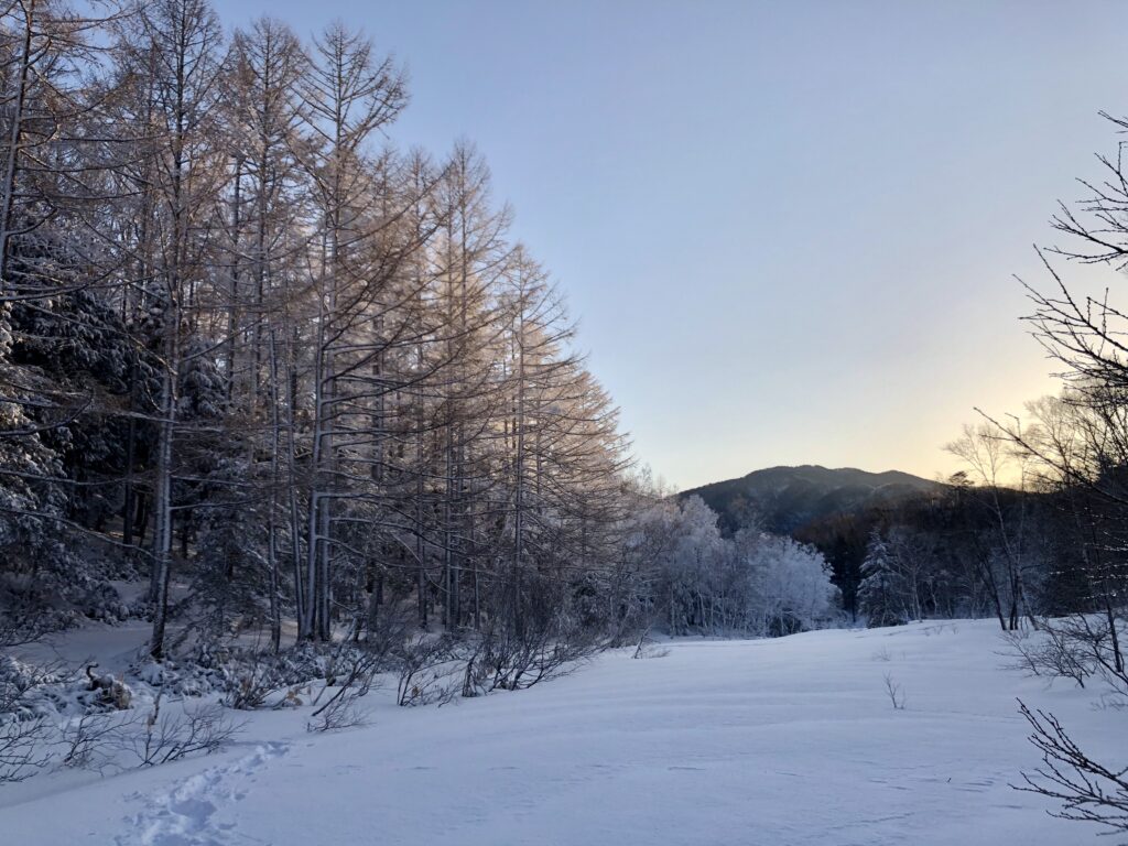 下の小池湿原