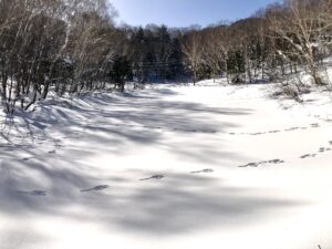 下の小池