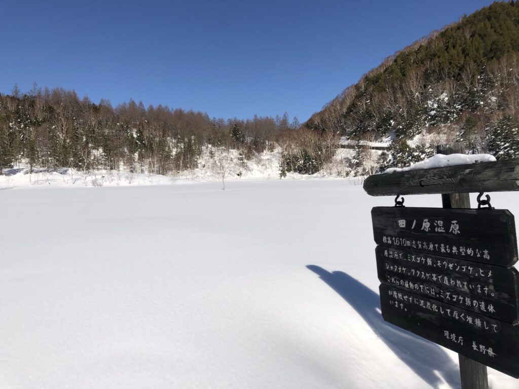 田ノ原湿原