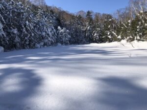 日陰湿原