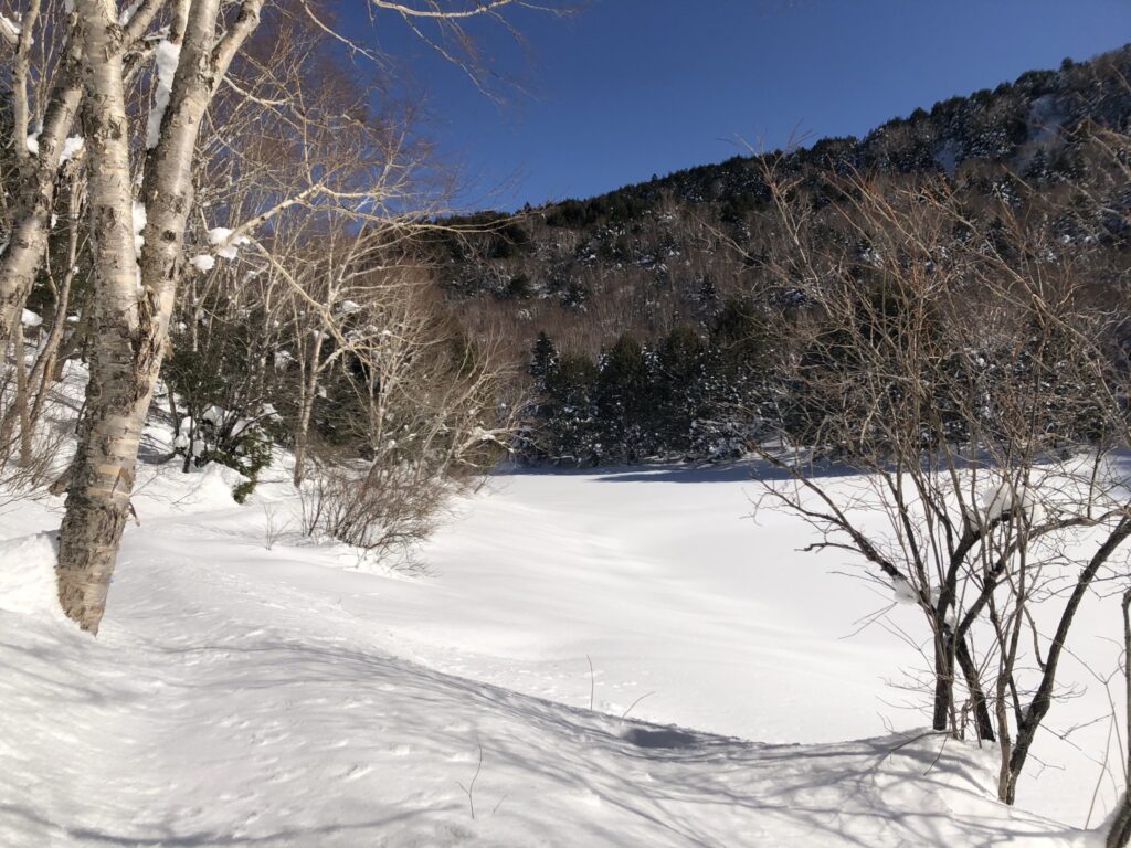 長池の木道